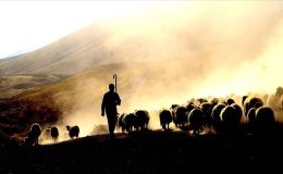 Çobana cinsel saldırıda bulunup dövdüler