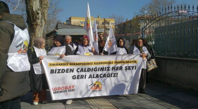 Bakanlığa yürüyen Agrobay işçileri: Sendika haktır engellenemez