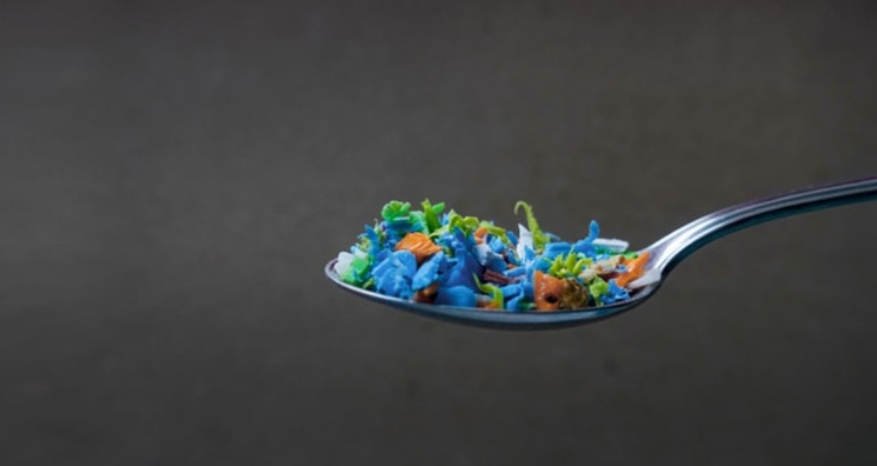 Mikroplastikler her yerde, en çok da beyinde