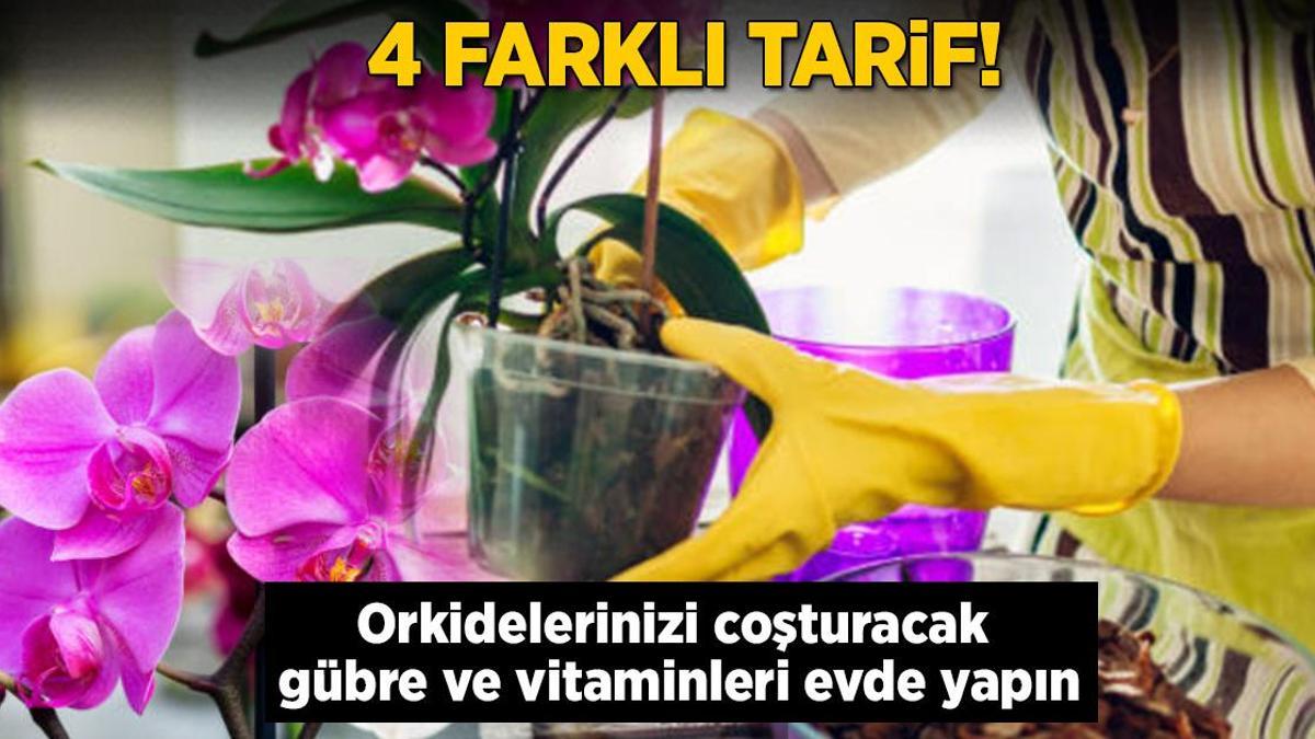 Orkidelerinizi coşturacak gübre ve vitaminleri evde yapın! 4 farklı tarif