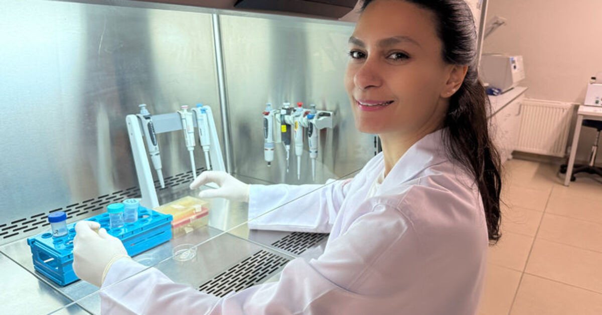Testis kanseri erken tanı kiti geliştirildi